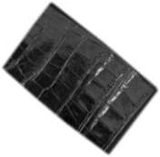 Black Crocodile Belly