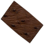Brown Ostrich