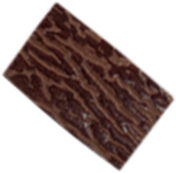 Brown Shark