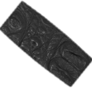 Black Crocodile