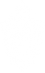 FAMARS USA