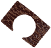 Brown Shark